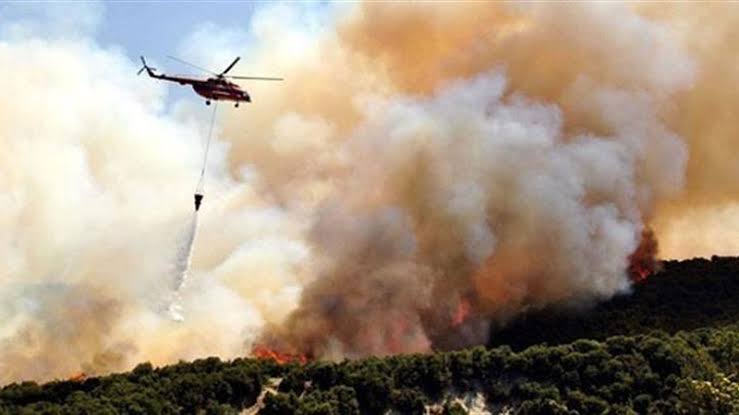 В Турции в трех провинциях вспыхнули лесные пожары
