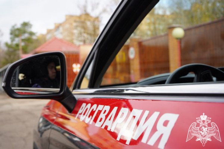 Сотрудники Росгвардии задержали подозреваемого в нанесении ножевых ранений в Подмосковье (видео)