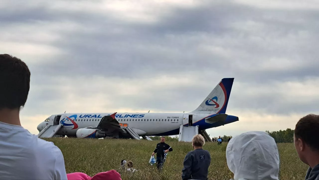 Севший в поле под Новосибирском самолет Сочи-Омск начали демонтировать