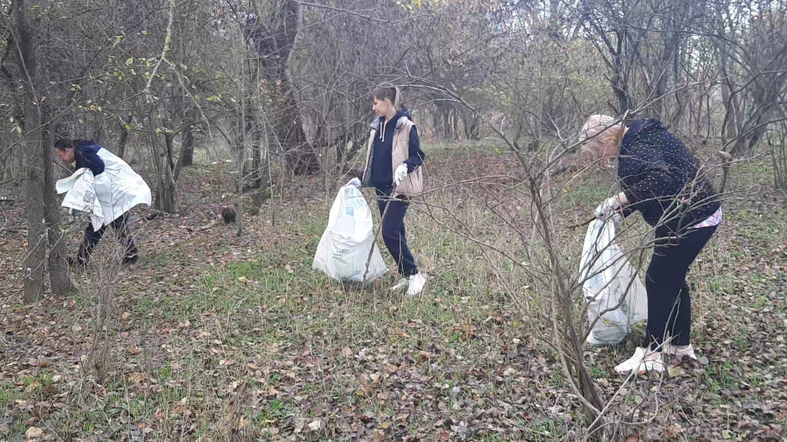 В рамках реализации муниципальной программы по укреплению общественного здоровья, сотрудники администрации Майского района активно включились в районный экологический марафон 