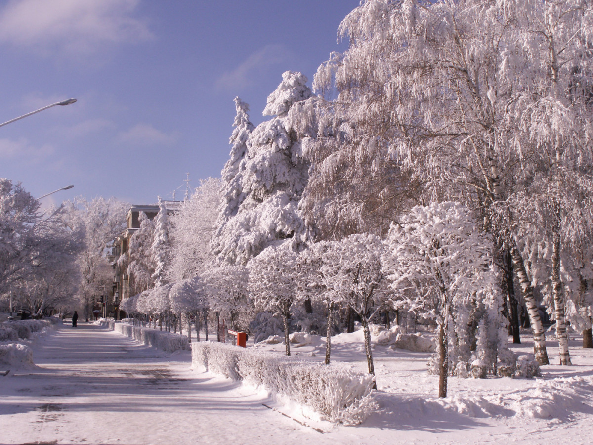 Климат в нашем городе суровый морозы начинаются. Фото зима на Ставрополье. Мороз -25.