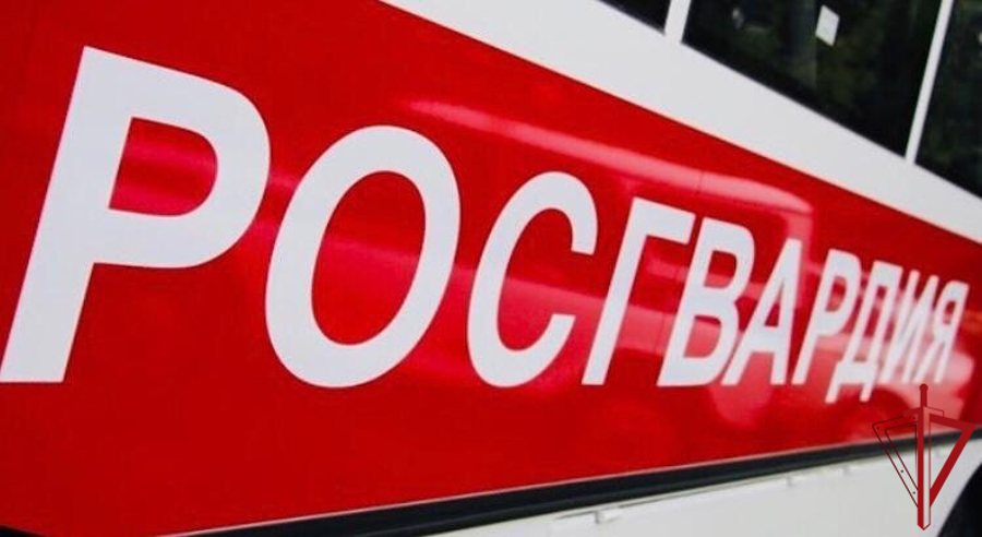 В Пскове росгвардейцы задержали подозреваемого в грабеже