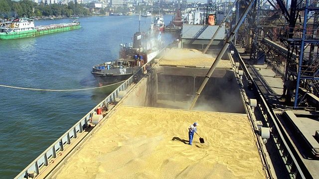 Фото: t.me/prokutp