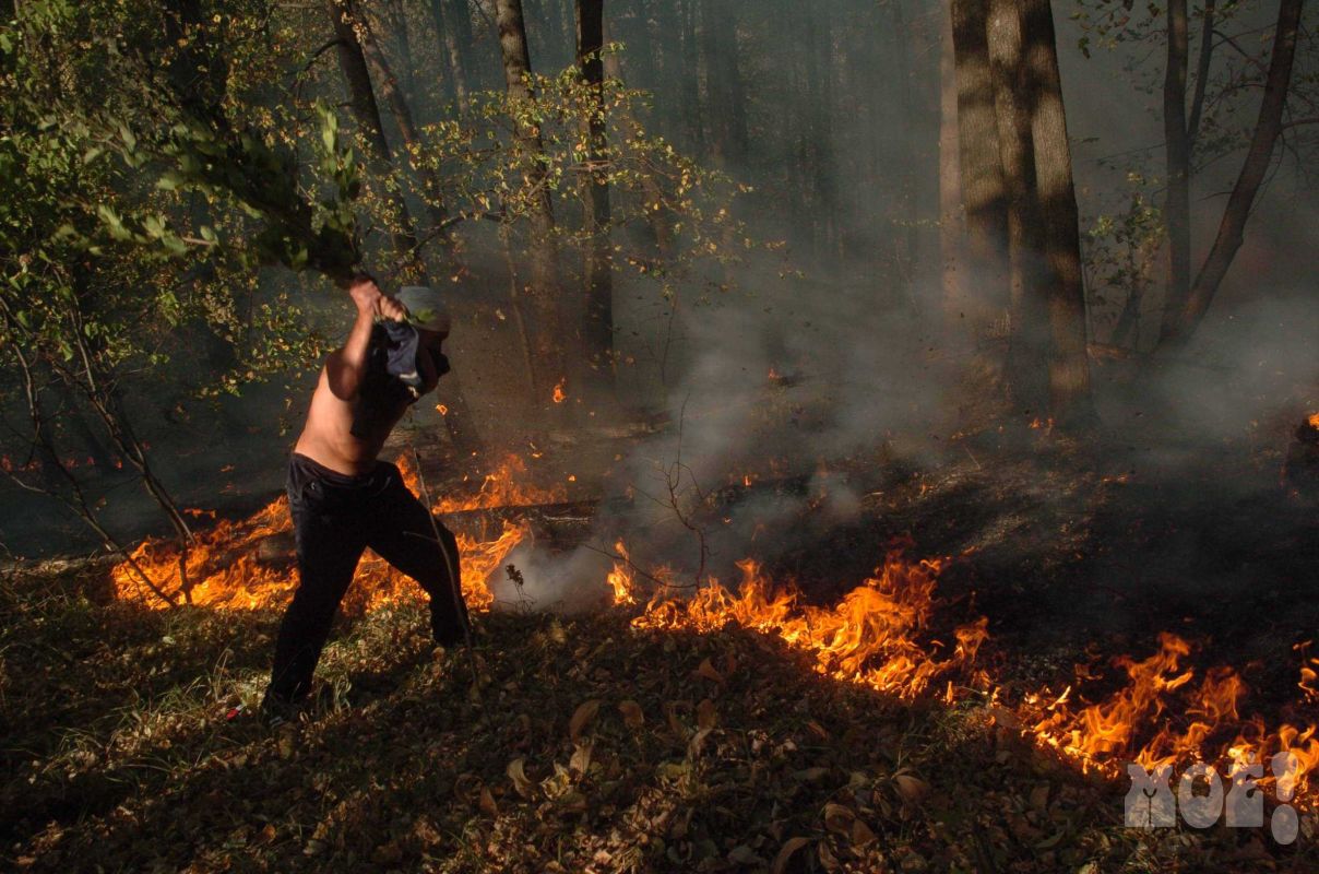 Самый высокий уровень пожарной опасности введут на юге Воронежской области
