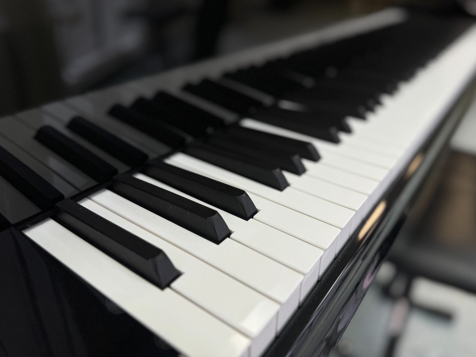 Воспитанники Лобненской школы искусств завоевали награды на музыкальной олимпиаде