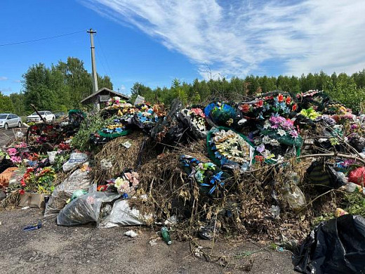 Городское кладбище в Пучеже превратилось в свинарник