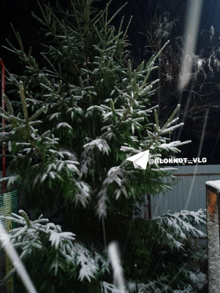 Первый снег выпал в Волгоградской области