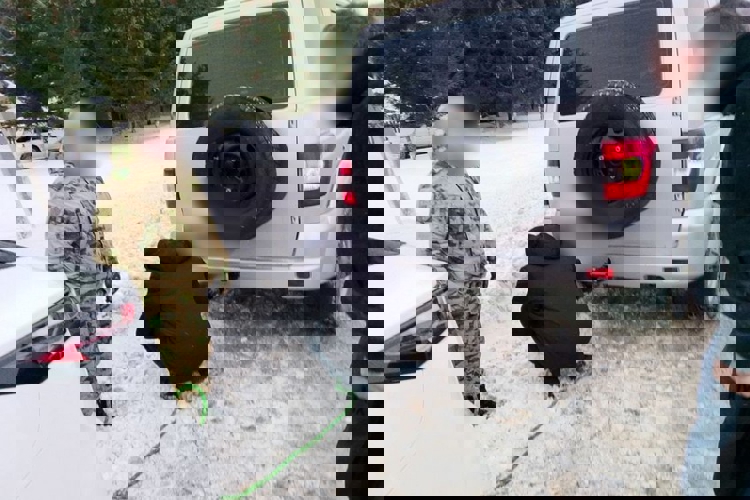 В Татарстане Росгвардейцы пришли на помощь водителю, застрявшему на обочине