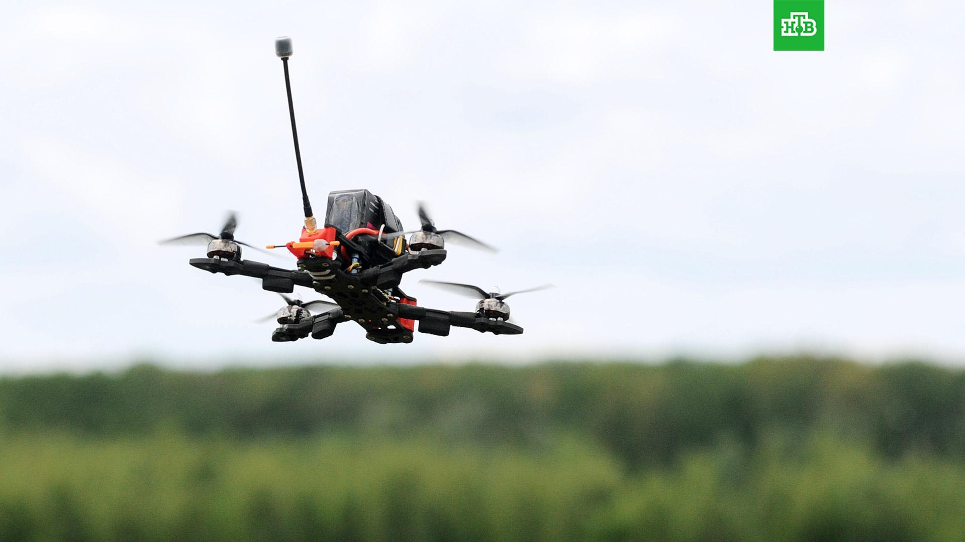 бпла над водой. купол против дронов. квадрокоптер в лесу. атака дронов на севастополь. дрон fpv kamikaze.