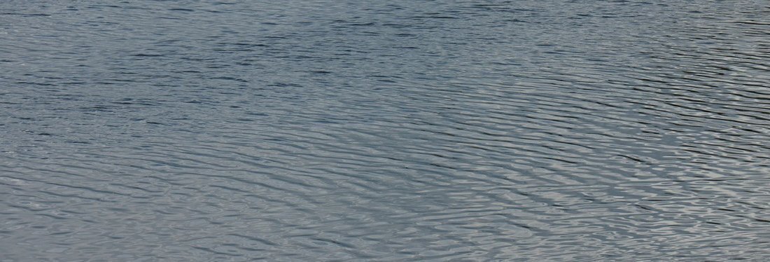 Двоих детей спасла женщина в Великоустюгском округе