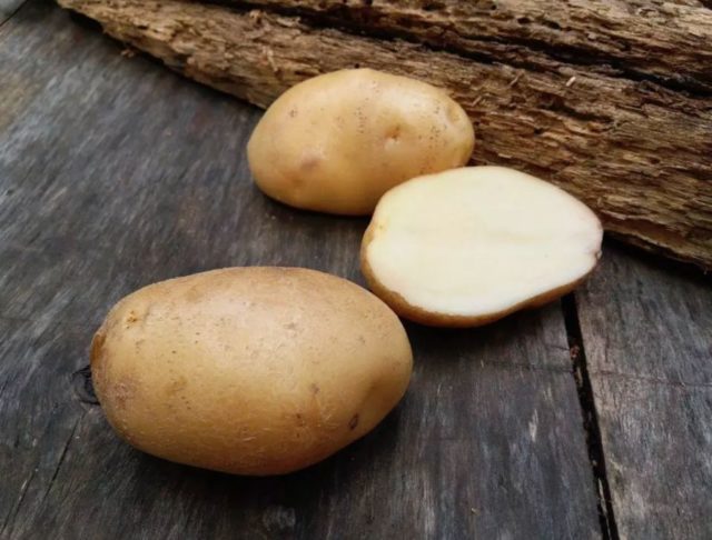 Лучшие сорта картофеля для Южного и Среднего Урала: семенного, новые, отзывы