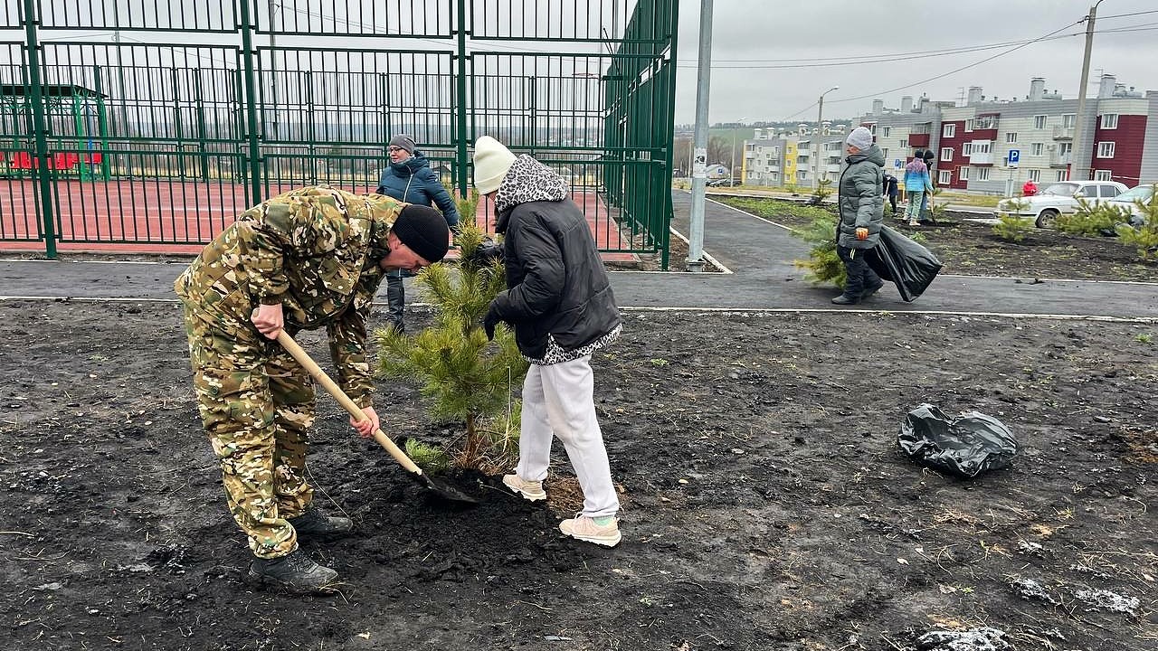 В Саранске около универсальной спортивной площадки посадили сосновую аллею