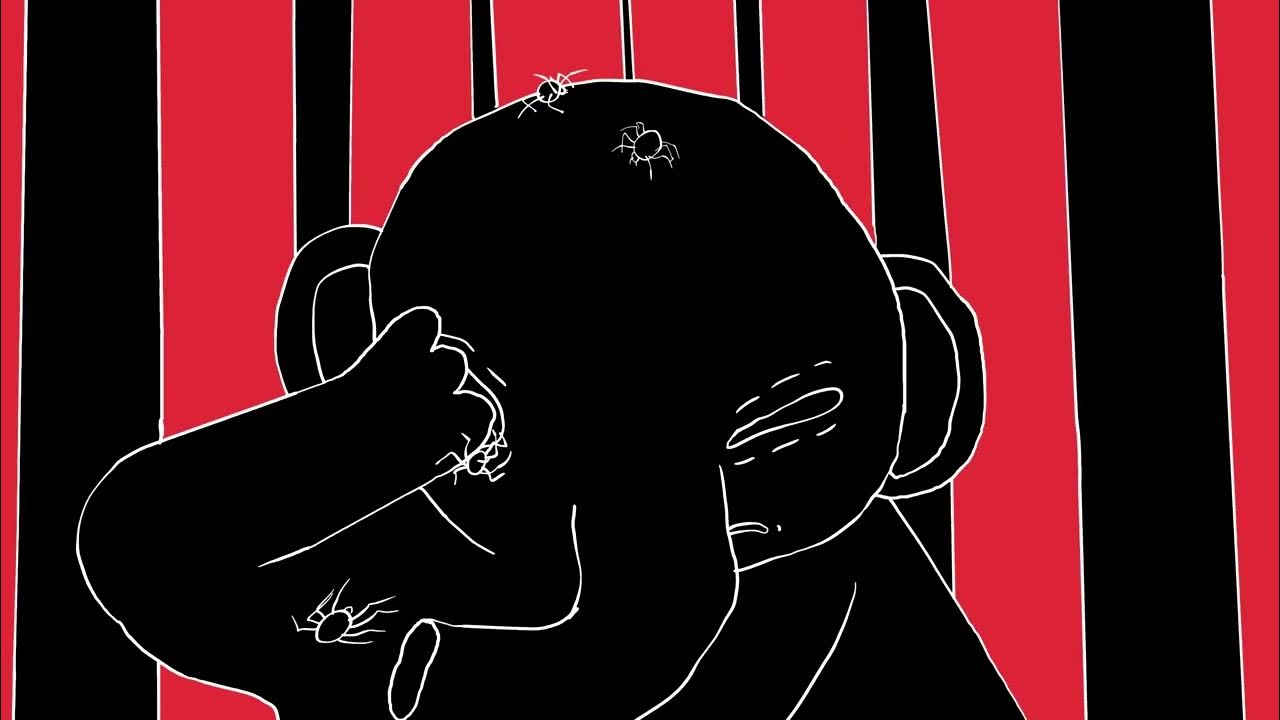 Шторм в голове, персебес в ребро: анимация 2024 года, которую вы могли пропустить