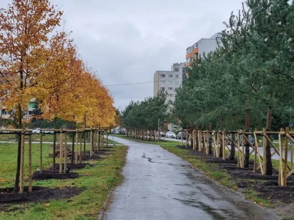 Год Зеленой столицы привнес в таллинский район Ласнамяэ много зеленых решений