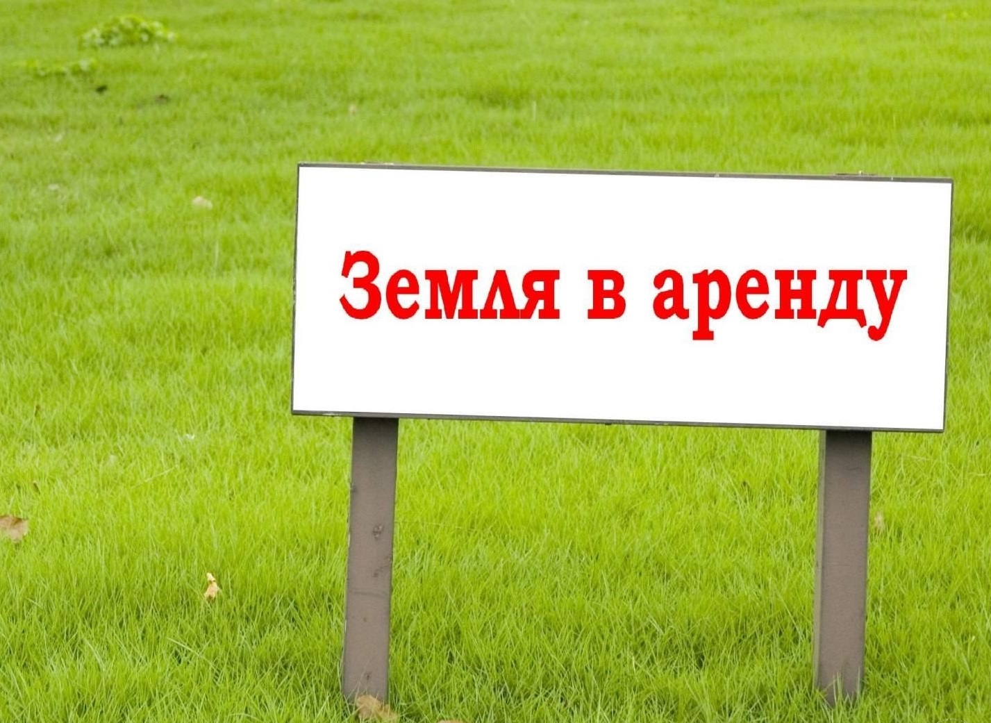 Земля была в аренде. Участок земли презентация. Предоставление земельных участков в аренду. Собственность на землю. Земельные отношения.