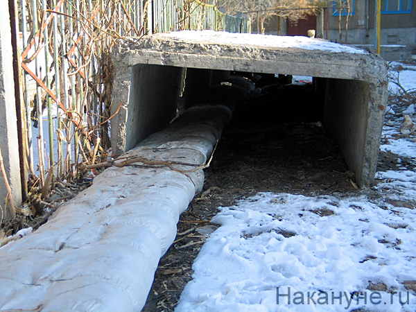 Фото: Накануне.ru