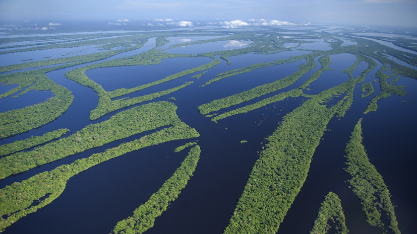 Бывший боец ММА Дос Сантос утонул в реке