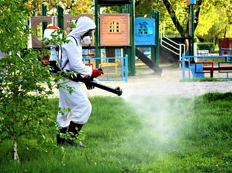 В Туве отмечен резкий рост активности клещей. Фото: правительство РТ