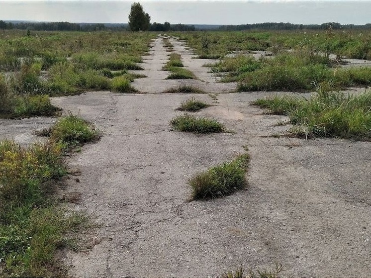 Загадку появления взлетно-посадочной полосы в поле Сузунского района расследуют в Новосибирской области