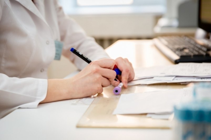 Тематическое фото ИА PrimaMedia