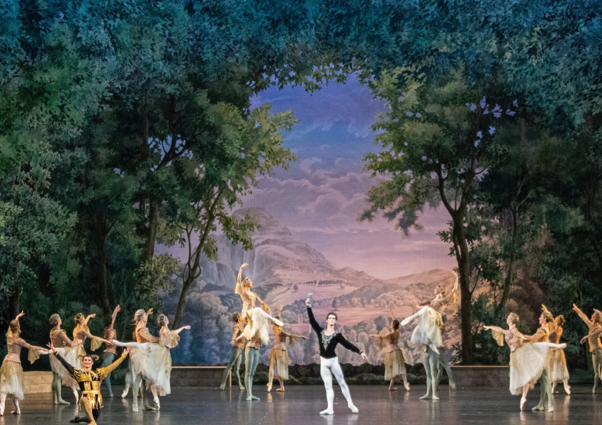 «Лебединое озеро»