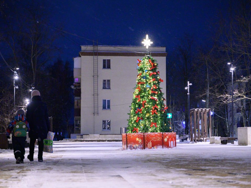 В Лыткарине установили четыре новогодние ели