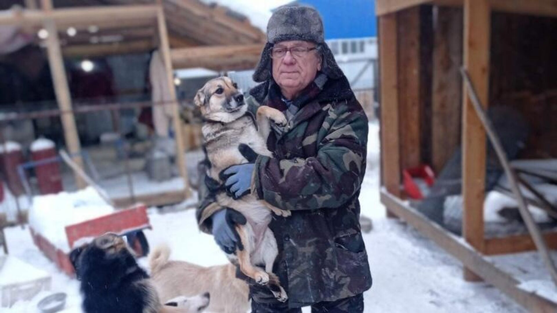 Подвиг о спасении животных сообщение. Спасатели собаки в иркутске. Тулун спасение животных питомник к9. Животные спасатели. Спасение животных в москве.