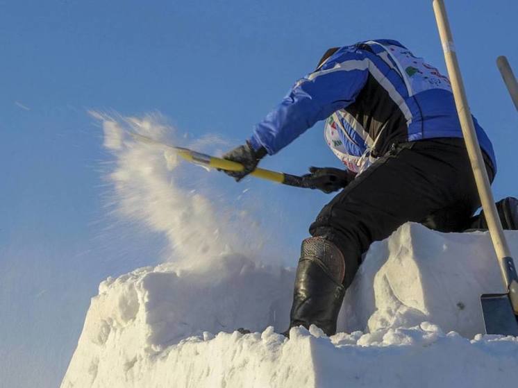 Лучшие мастера страны слепили снежные скульптуры в новосибирском парке «Арена»