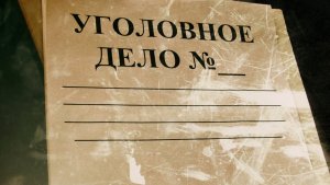 Учредитель саратовского коттеджного поселка обвиняется в самоуправстве