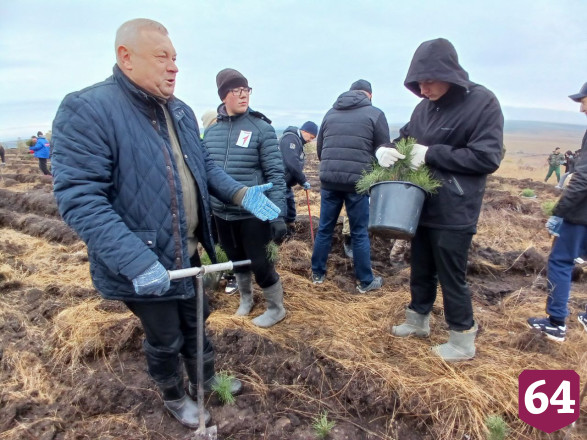 Осенью в Саратовской области высадят 3 миллиона сеянцев 