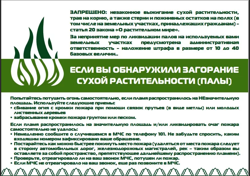 Права по охране окружающей среды. Закон о растительном мире республики беларусь. Закон рб о патенте на 2021. Закон о растительном мире республики беларусь. Стенды по охране экологии.