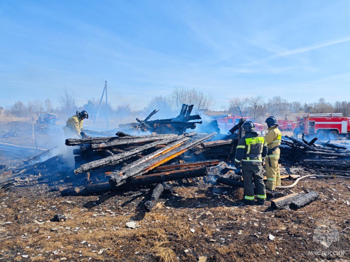 При пожаре в Арбажском районе погиб человек