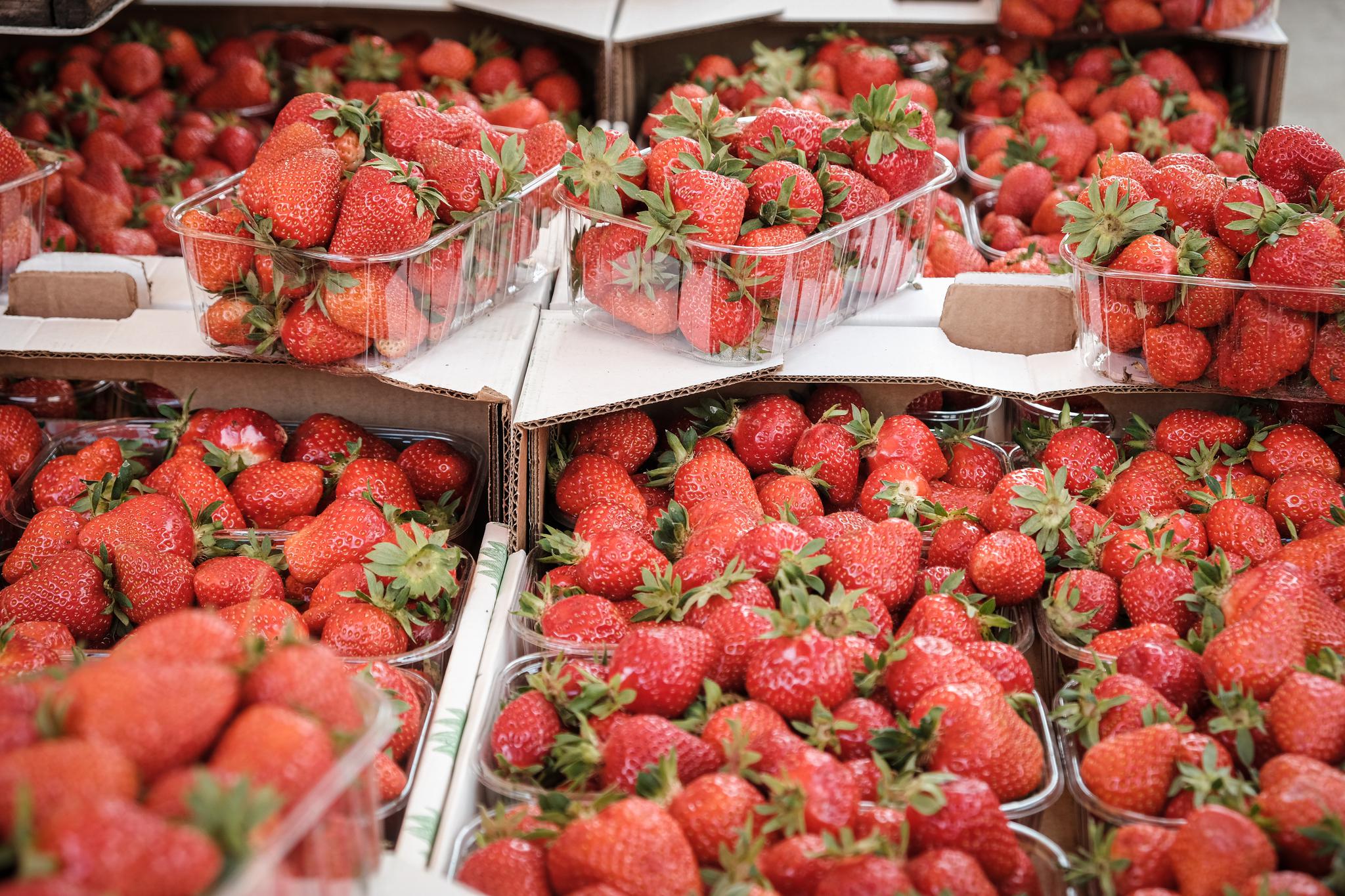 Ярмарки Кубани перешли на летний график