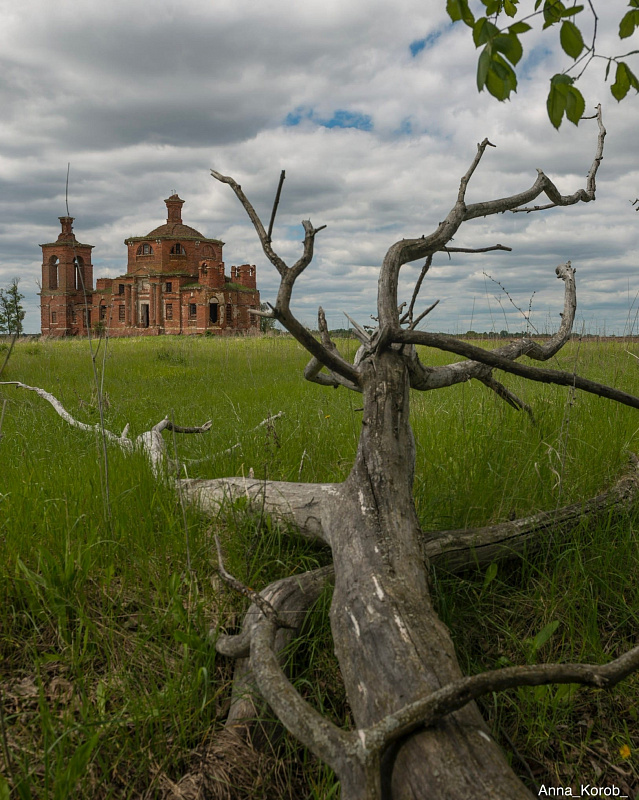 Православие Рязанский храм