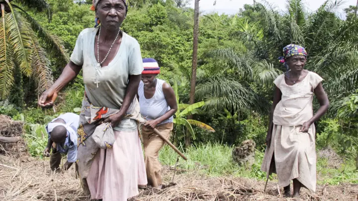 Reuters: Украина пытается потеснить Россию в странах Африки