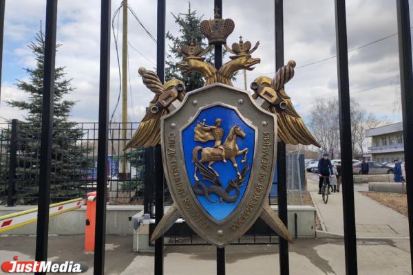 Александр Бастрыкин взял под контроль дело об избиении тренера в Верх-Нейвинском - Фото 1