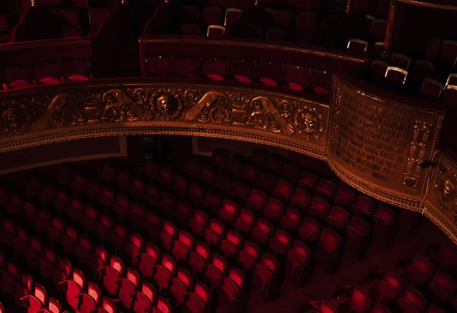 Открываем вокальные имена. 3 октября в Большом зале Филармонии выступит Альбина Шагимуратова | ФОТО Luis Gherasim on Unsplash