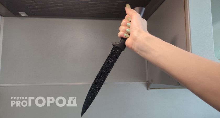 В Коми женщина зарезала приятеля в ходе ссоры 