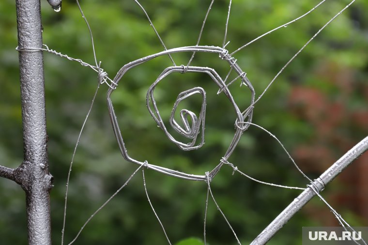 Паук у двери говорил о вестях: ровная паутина — к добру, рваная — к тревогам