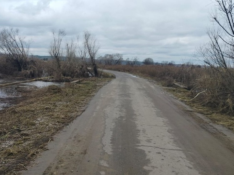 В деревне Староскаковское сняли ограничение по проезду транспорта