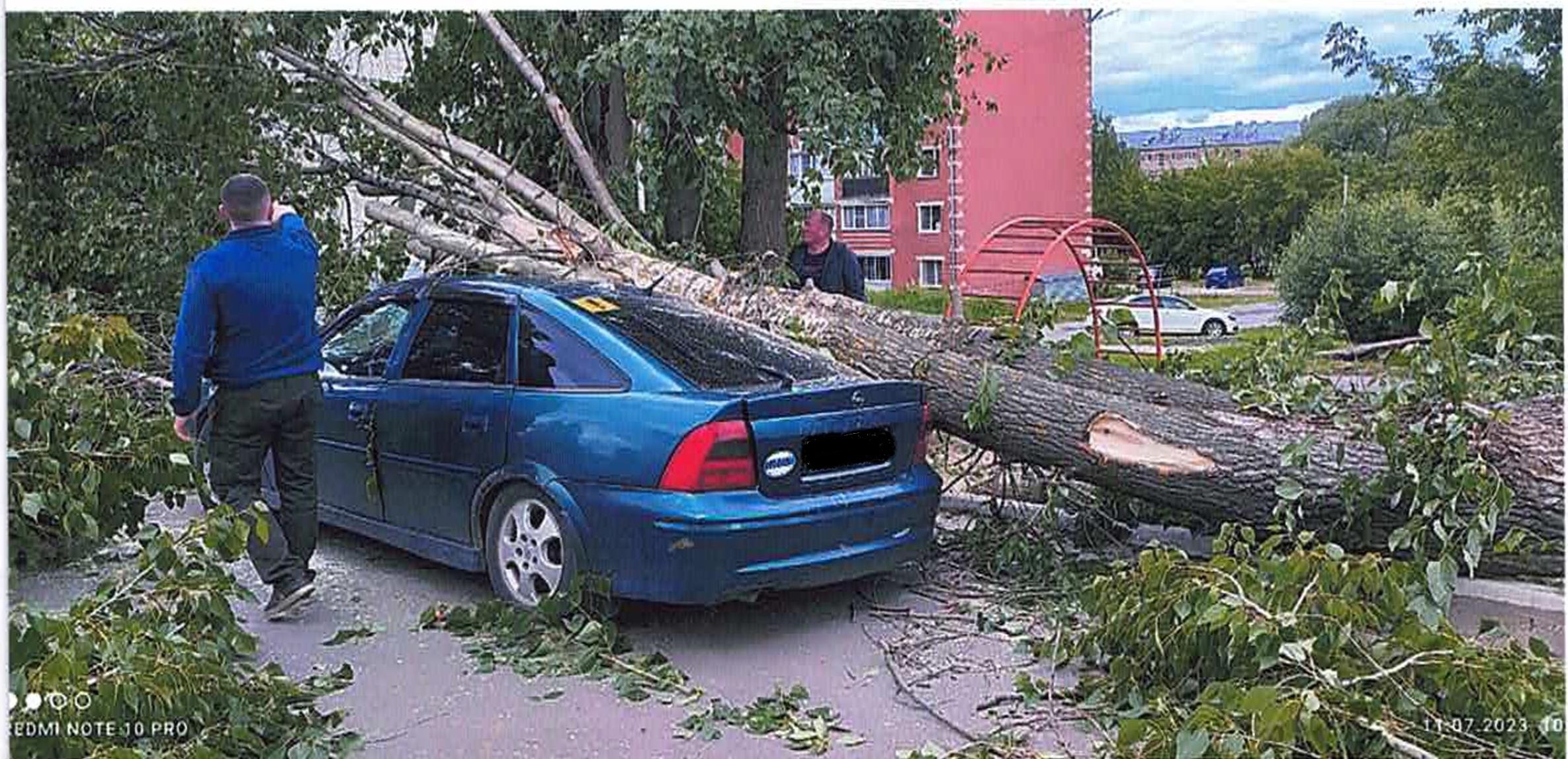 Свыше 160 тысяч рублей отсудила жительница Камешково за помятую деревом машину