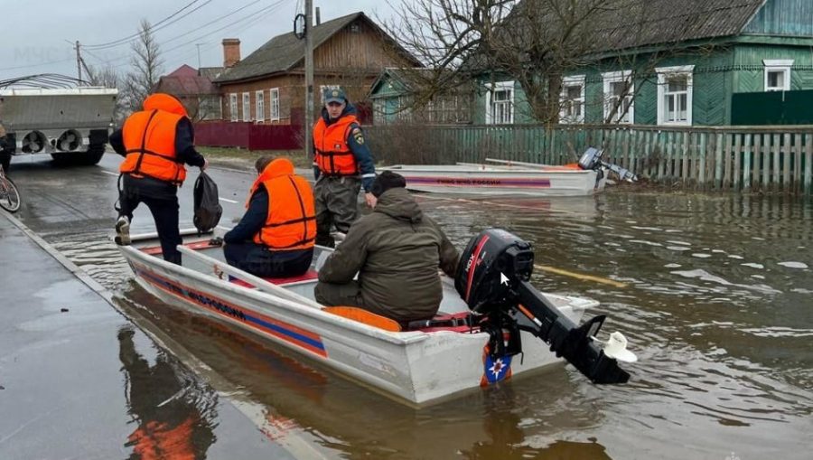 В Брянской области из-за паводка затопило семь жилых домов и 264 приусадебных участка