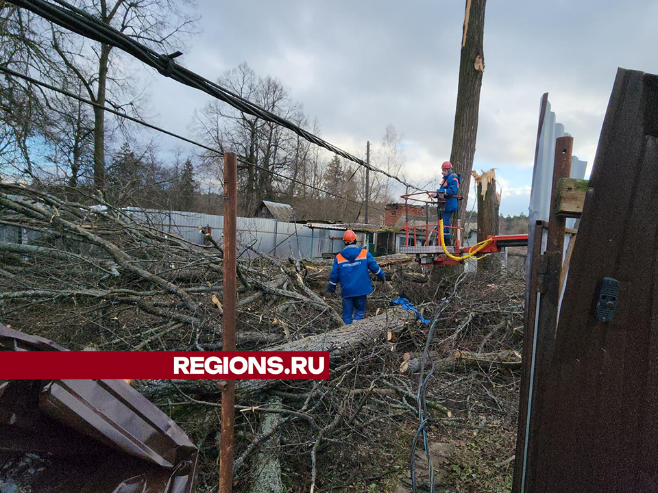 Фото: REGIONS/Валерий Гореловский