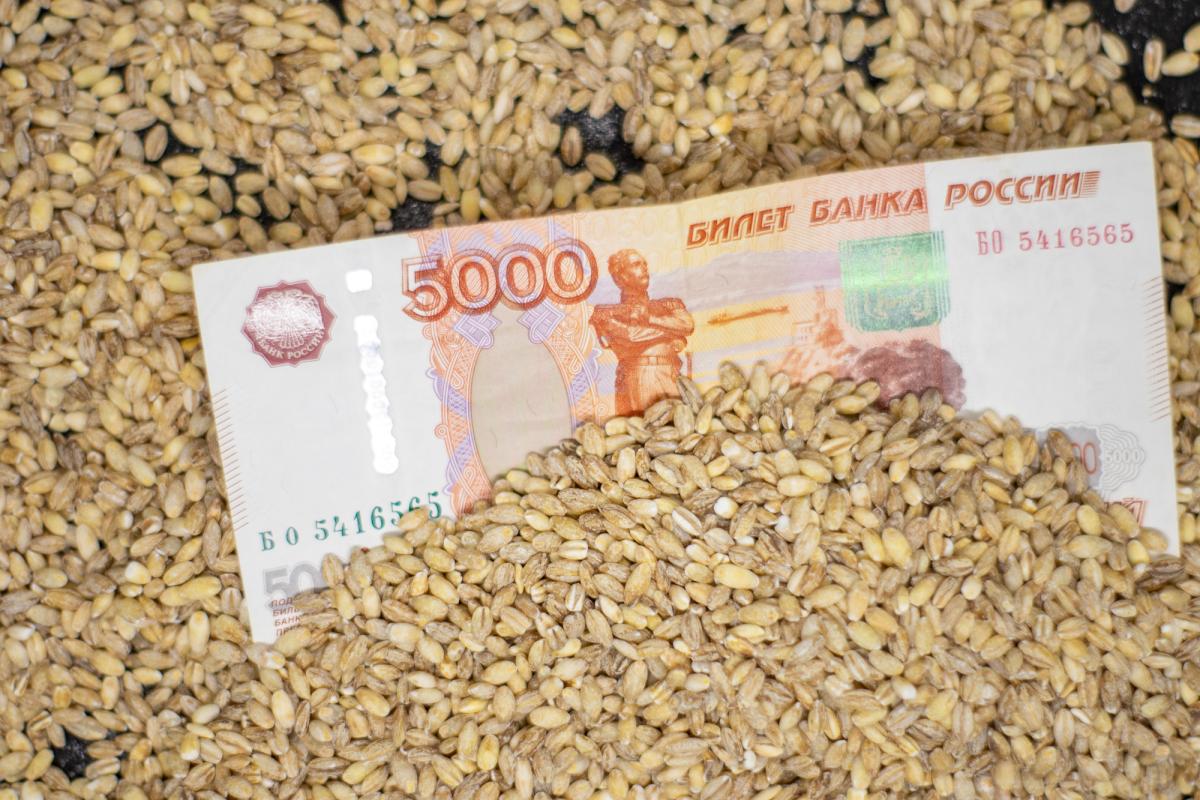 Допуск к участию в торгах зерном будет упрощен и автоматизирован благодаря ФГИС «Зерно»