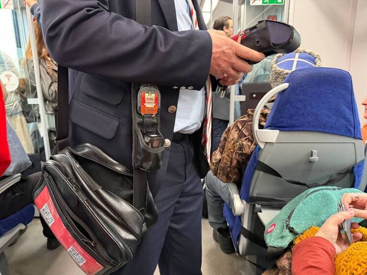 Многодетный петербуржец получил два года работ за дебош в электричке