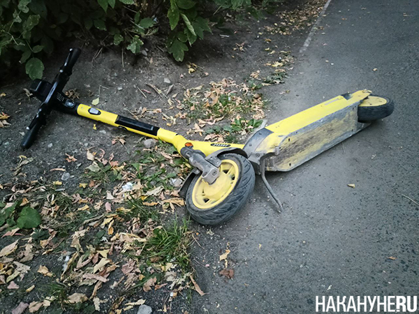 Фото: Накануне.RU