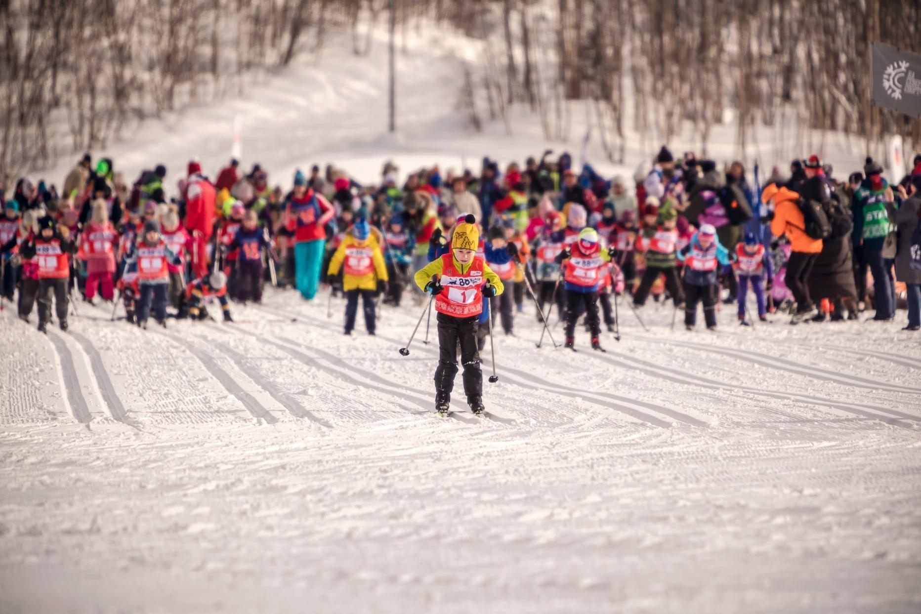 Праздник севера в мурманске лыжные гонки. Спортивные мероприятия за март. Праздник севера на стадионе профсоюзов мурманск. Полина сероносова лыжи. Праздник севера в мурманске 2024.
