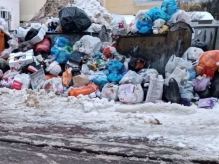 Жителям Калужской области пригрозили штрафами за парковку у мусорных контейнеров