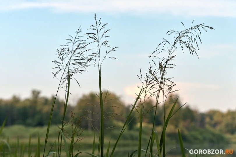 В Башкирии семья застряла на дороге к водопаду Куперля