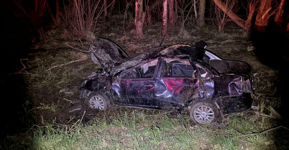 Лось стал причиной гибели автомобилиста на трассе в Новгородской области